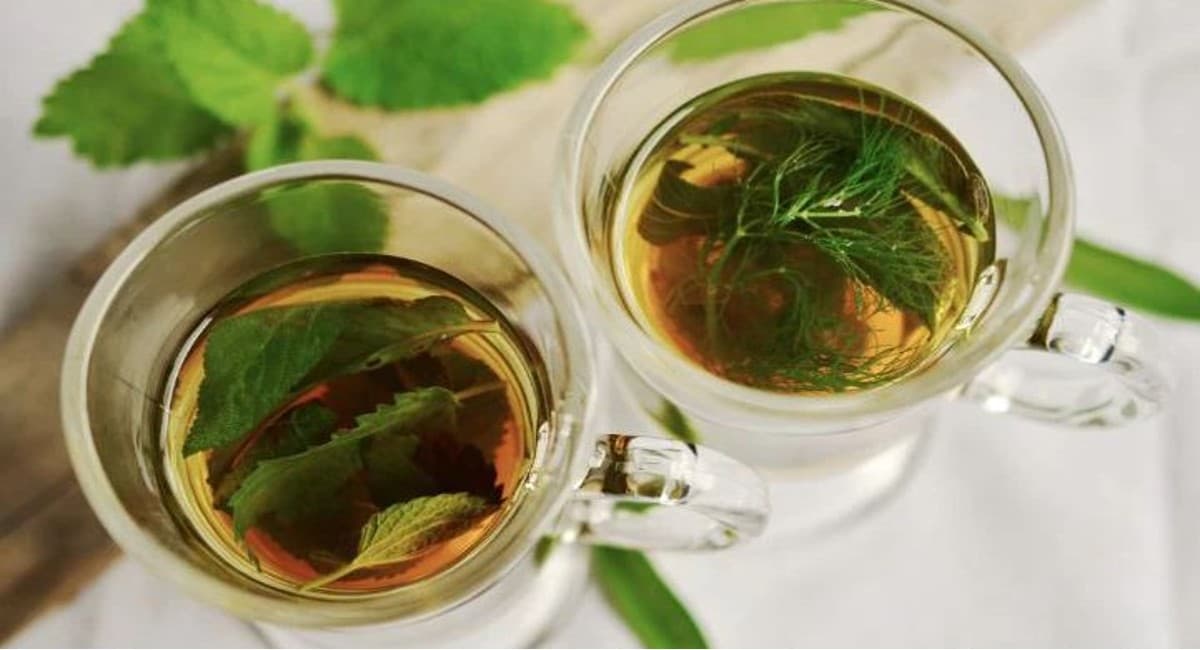 हेल्थ ड्रिंक्स: मेटाबॉलिज्म बढ़ाने में मदद करेंगे ये हेल्थ ड्रिंक्स, इनसे होगा वेट लॉस