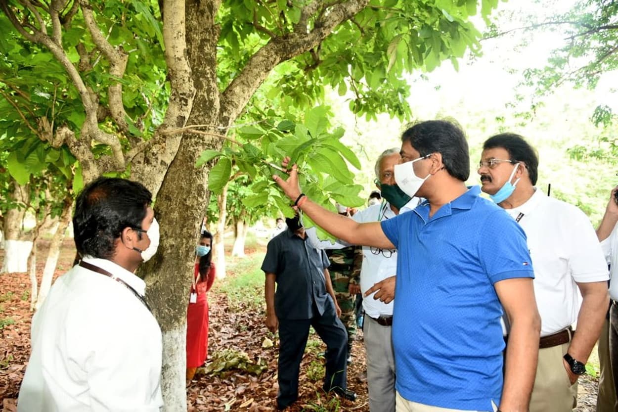 झारखंड के प्रवासी मजदूरों को अब नहीं करना पड़ेगा पलायन, रोजगार दिलाने में जुटी हेमंत सरकार