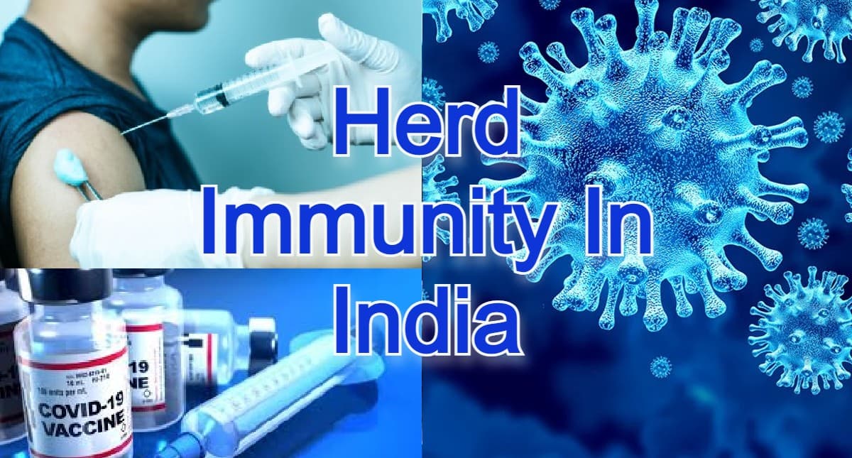 Herd Immunity In India: फिर बढ़ रहे कोविड-19 के मामले, भारत हर्ड इम्यूनिटी से कितना दूर ? जानें
