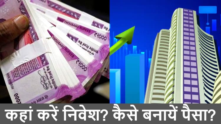 Earn Money: एक लाख रुपये खर्च करके एक साल में कमाये 41 लाख, आप भी कमा सकते हैं, जानें कैसे