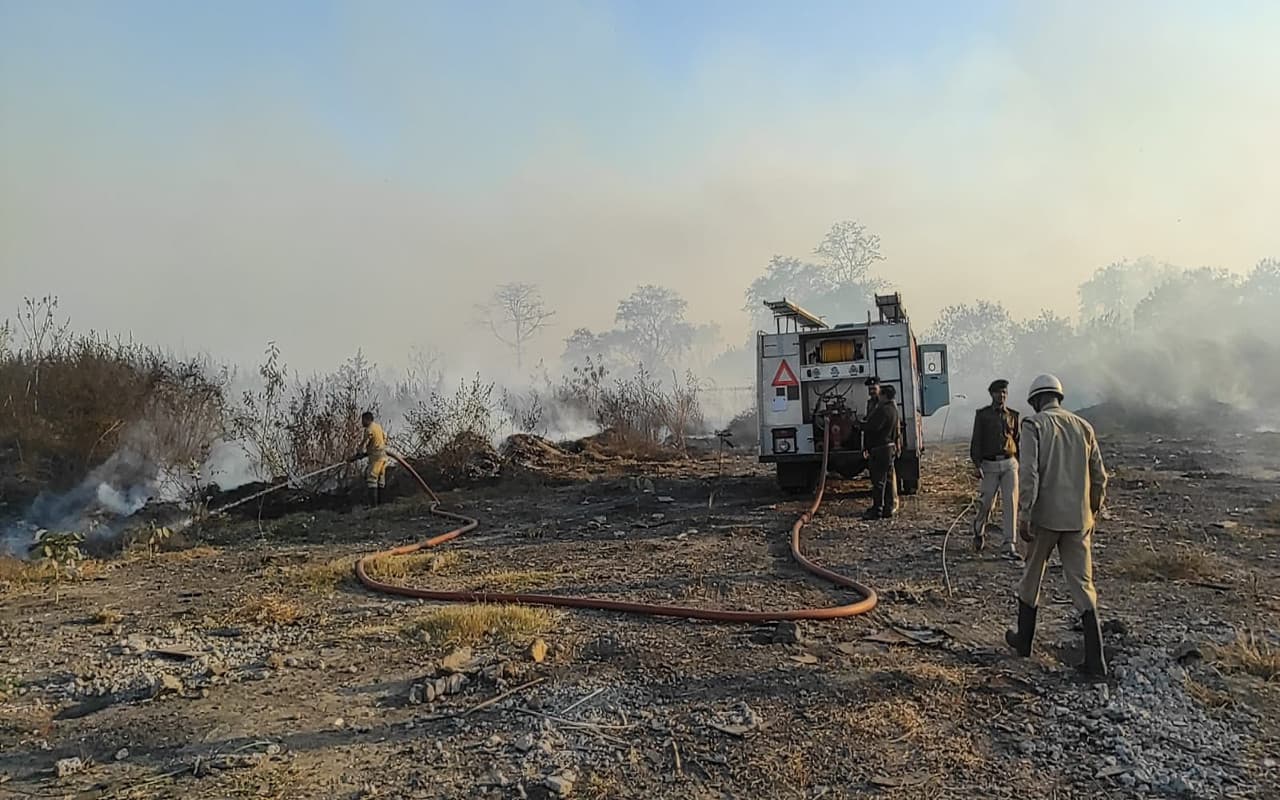 Jharkhand News: धनबाद में फिर अगजनी, इस बार हर्ल के ग्रीन कॉरिडोर में लगी आग, सैकड़ों पेड़ जलकर राख