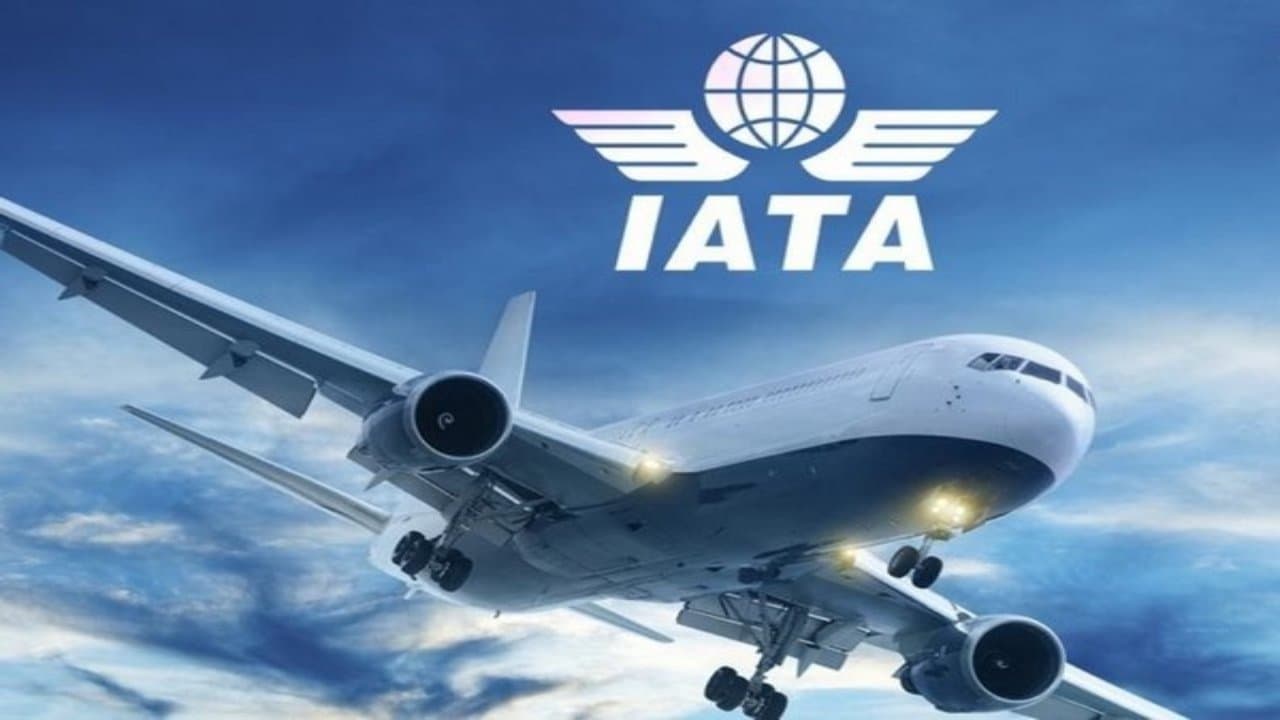 IATA ने कहा, 2019 के 85 फीसदी के स्तर पर पहुंच गई भारत की हवाई यात्रा, चीन की हालत पस्त