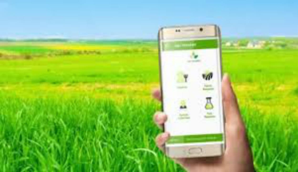 खेत की सेहत का हाल बताएगा IFFCO KISAN का ये मोबाइल ऐप, देश के लाखों किसान फसलों का कर सकेंगे बंपर उत्पादन