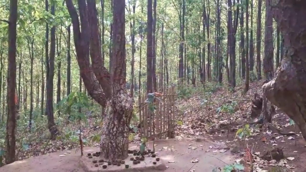 जंगल बचाने के लिए ग्रामीणों ने की थी 100 किलोमीटर की पदयात्रा पार्ट 2