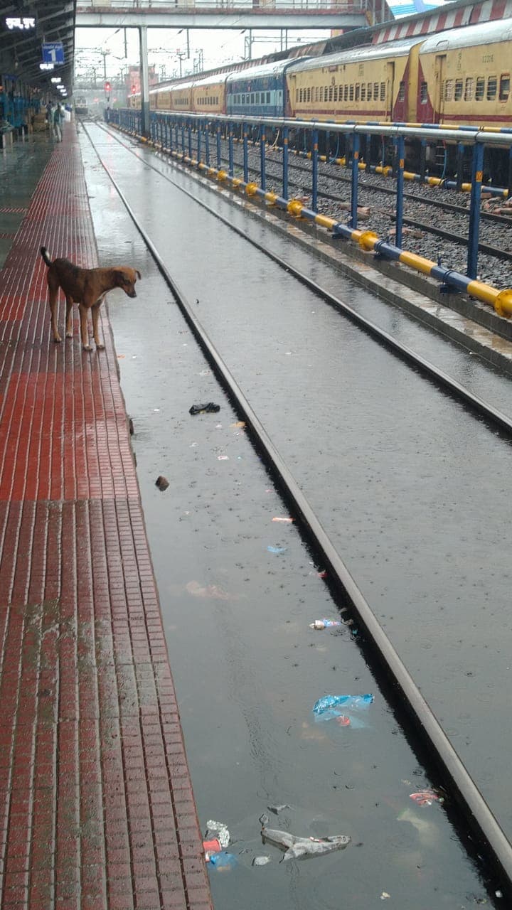 Bihar Weather Update: बिहार में तूफान यास का तांडव, दरभंगा और पटना एयरपोर्ट पर विमान सेवा ठप्प, रेलवे ट्रैक पर भरा पानी