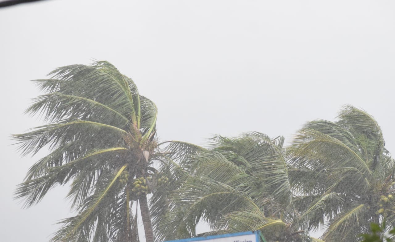 Bihar Weather: अगले 48 घंटे में उत्तर-पूर्व बिहार में बारिश व ठनके की आशंका,मौसम विभाग ने जारी किया अलर्ट Bihar Weather: अगले 48 घंटे में उत्तर-पूर्व बिहार में बारिश व ठनके की आशंका,मौसम विभाग ने जारी किया अलर्ट