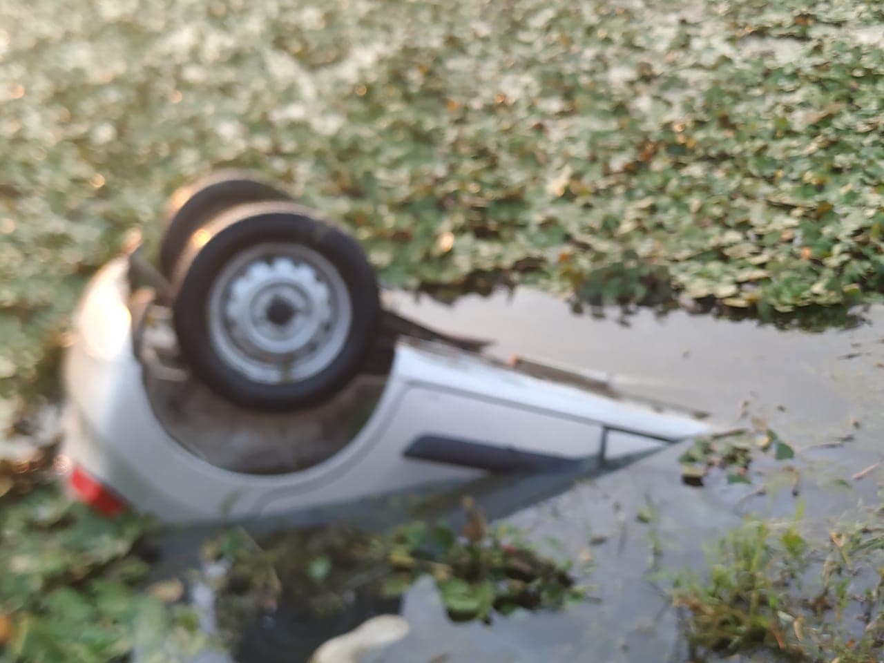 Bijnor News: शादी समारोह से लौट रहे युवकों की कार तालाब में जा गिरी, चार की मौके पर ही मौत