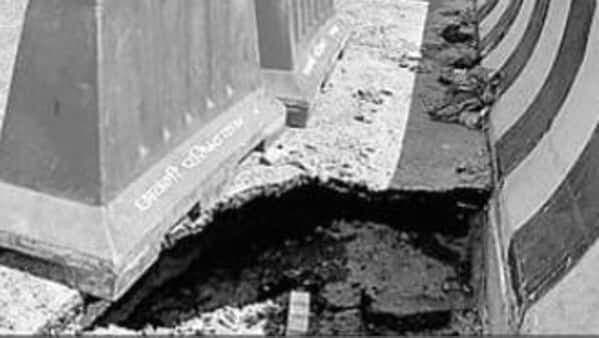 बिहार के बाद अब यूपी में चूहों ने मचाया उधम, कानपुर में कुतर दिया 40 करोड़ का पुल, हड़कंप