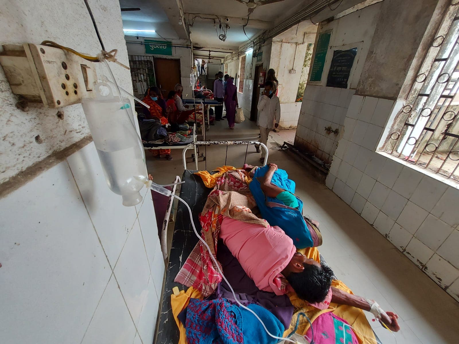 Bareilly News: UP में डेंगू बुखार का तांडव, रुहेलखंड में पिछले 24 घंटे में छह की मौत