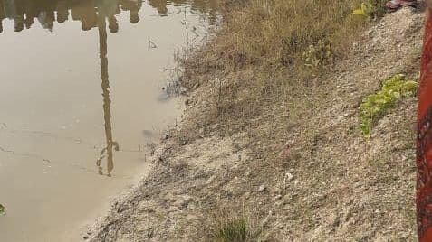 Gorakhpur News: पोखरी में उतराता मिला 40 वर्षीय व्यक्ति का शव, हत्या की आशंका