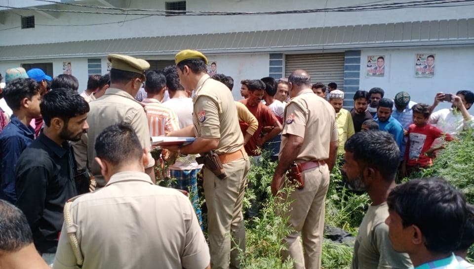 Bareilly News: बहेड़ी में झाड़ियों में पड़ा मिला शव, ईंट से कुचला हुआ था सिर