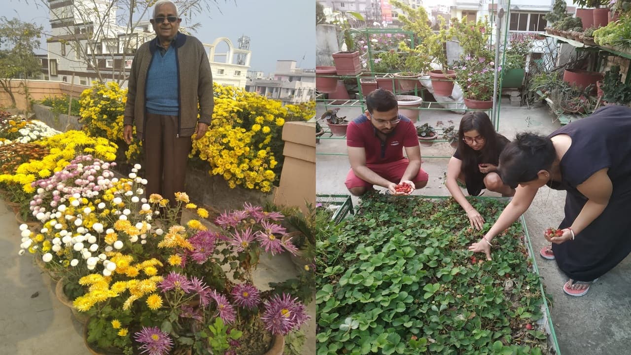 पटना में घर की छत पर उगा रहे जरूरत की ऑर्गेनिक सब्जियां, बिहार सरकार भी कर रही मदद, जानें कैसे