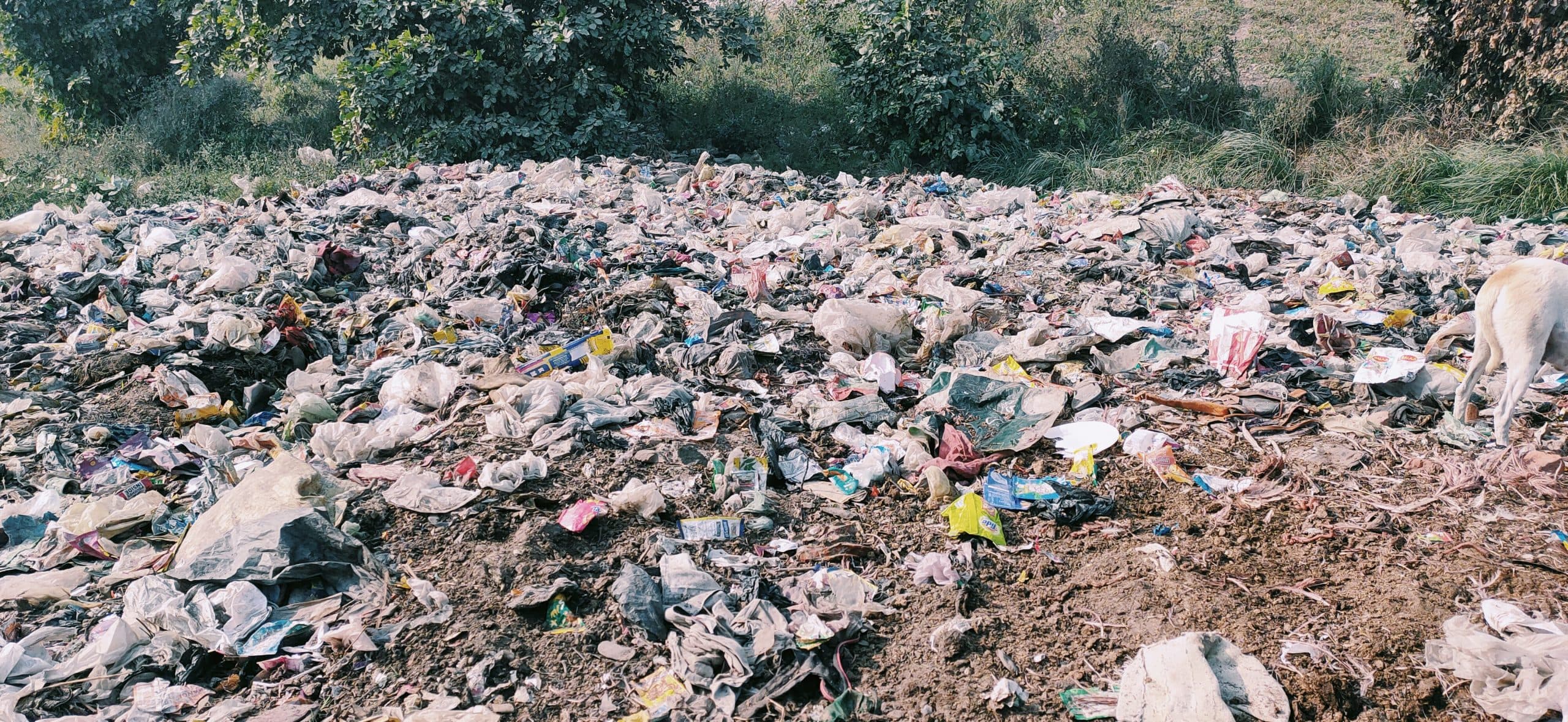 Aligarh News: स्वच्छता सर्वेक्षण में पिछड़ा अलीगढ़, मिली 34वीं रैंक, जानें UP में किस नंबर पर रहा