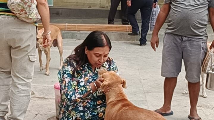 आगरा: बेजुबान जानवरों की सहारा बनी विनीता, अत्याचार करने वालों से करती हैं लड़ाई, जानें इनके बारे में