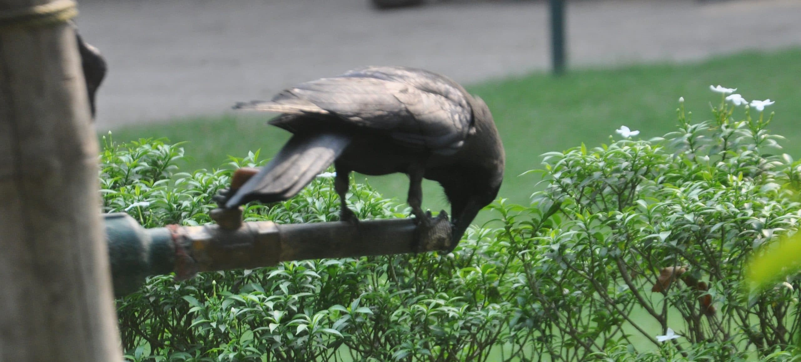 Weather Today: बंगाल में चुनाव की गर्मी कम हुई, तो तापमान में भी आयी गिरावट, लेकिन अभी गर्मी से नहीं मिलेगी राहत
