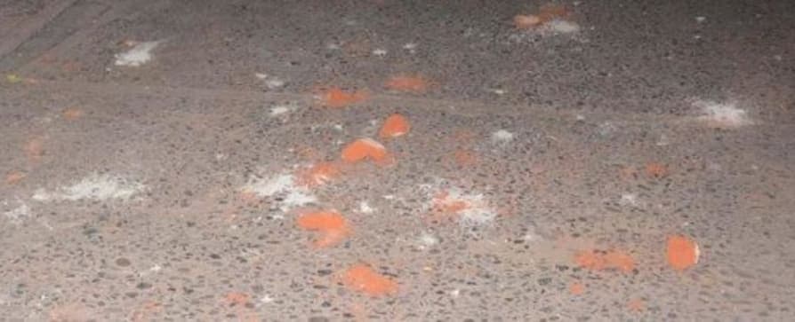 Sambhal News: होली के जुलूस में धार्मिक स्थल पर फेंका रंग, दो समुदायों के बीच जमकर हुआ पथराव