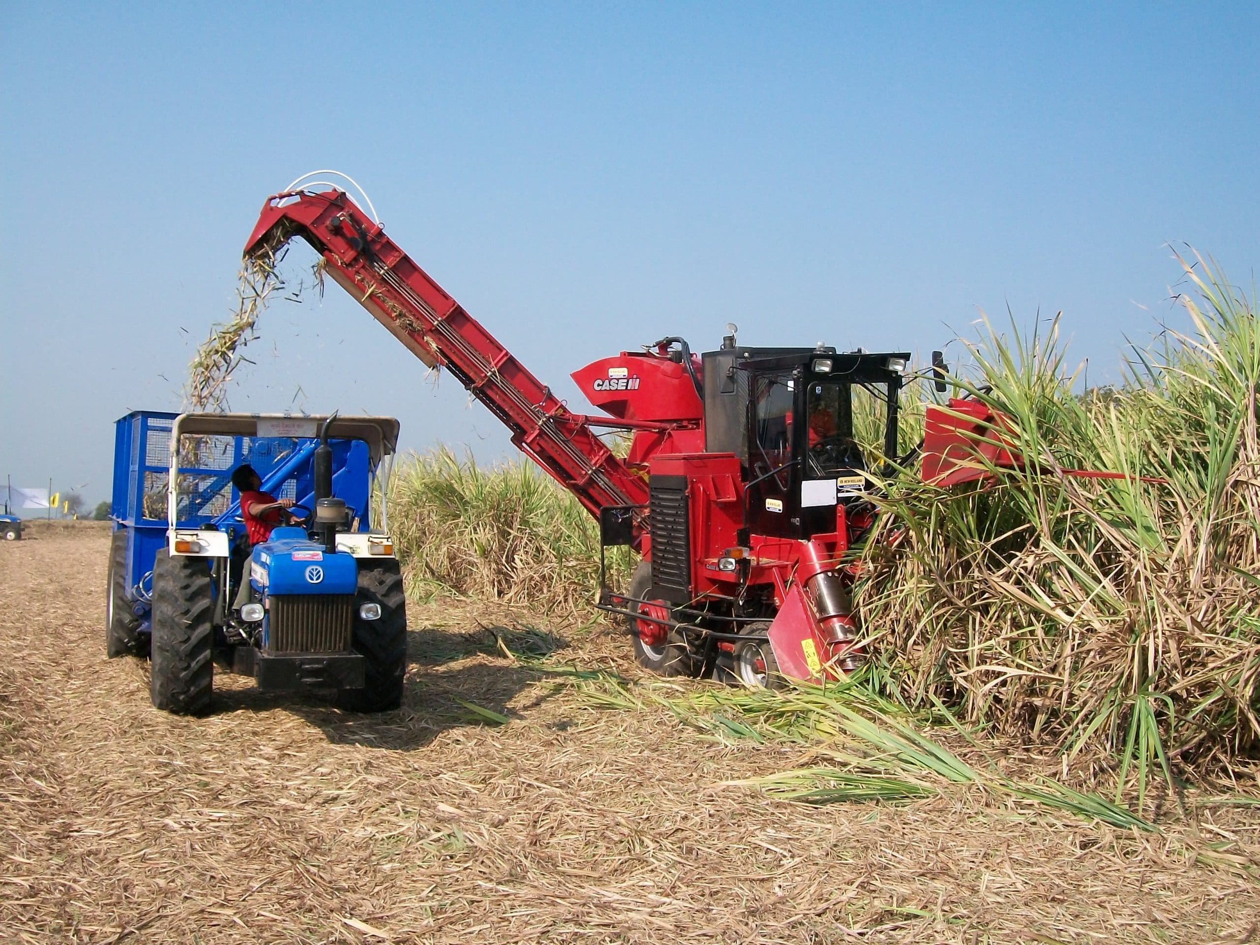 बिहार में लाखों किसानों को राहत ! कृषि इनपुट अनुदान पाने के लिए अब नहीं देना होगा जमीन का रसीद, कृषि मंत्री का ऐलान