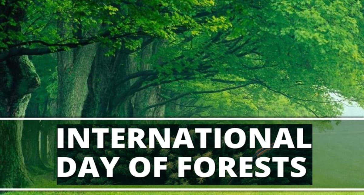 International Day Of Forests 2022: आज मनाया जा रहा है विश्व वन दिवस, जानें इस साल की थीम और खास बातें