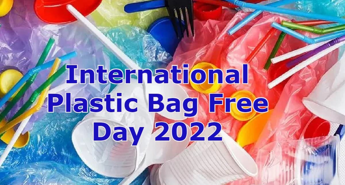 International Plastic Bag Free Day 2022: भारत में सिंगल यूज प्लास्टिक की 19 चीजों पर बैन, देखें लिस्ट