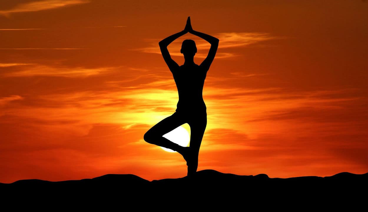 International Yoga Day 2022: ये लोग गलती से भी न करें योगाभ्यास, जानें योग से पहले और बाद का डाइट, तरीका