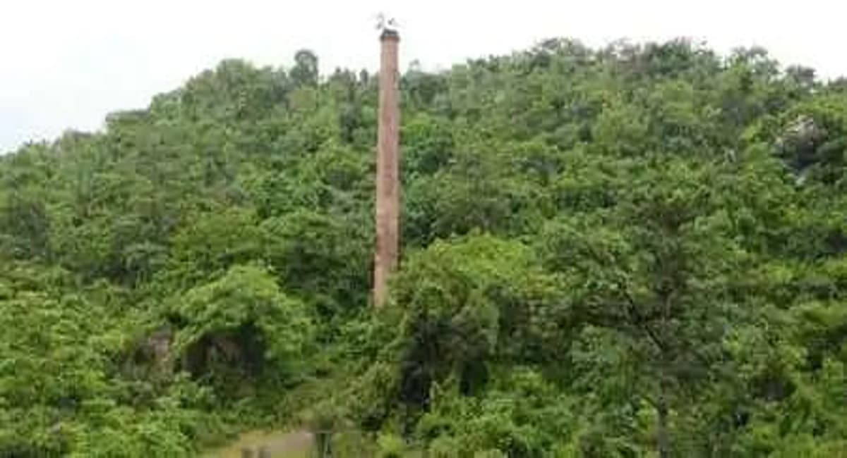 झारखंड के राखा कॉपर माइंस क्षेत्र में आजादी के बाद से बंद पड़ी है सोने की खदान, खुले तो बढ़ेंगे रोजगार के अवसर