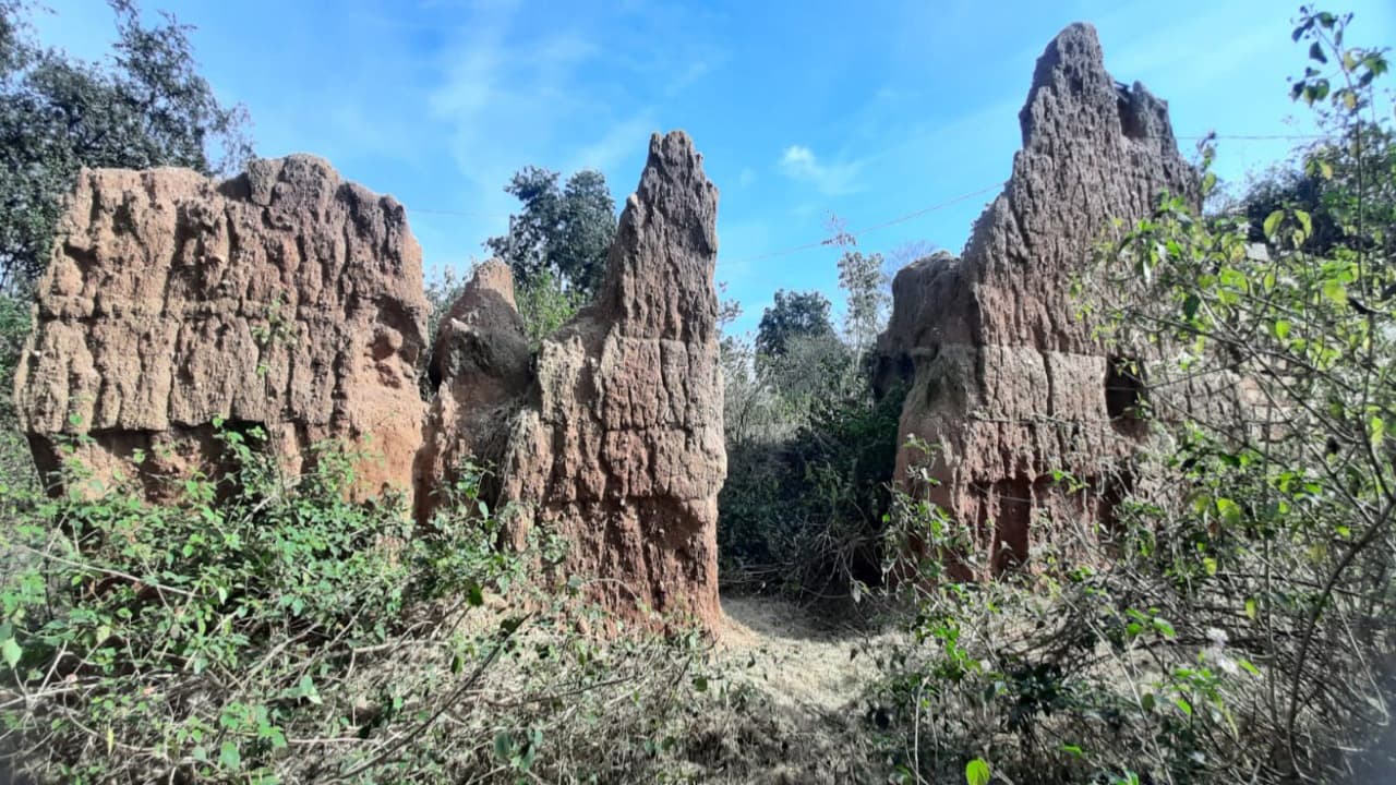 जयपाल सिंह मुंडा के पैतृक गांव का देखिए हाल, आदर्श ग्राम होने के बाद भी मूलभूत सुविधाओं का है अभाव