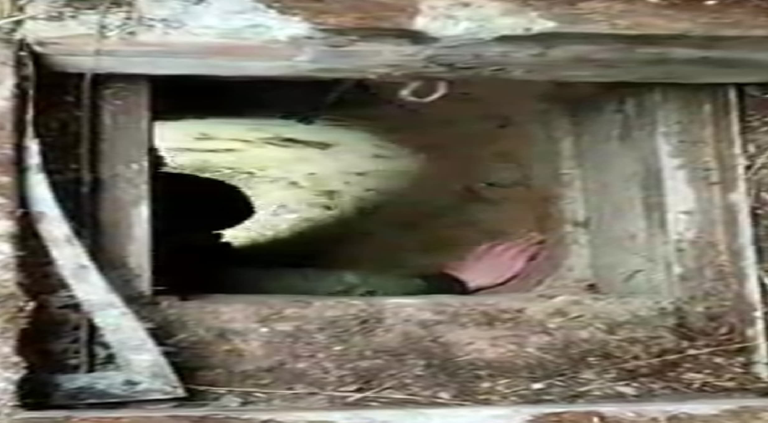 Jammu and Kashmir : गोशाला में था लश्कर का ठिकाना, सर्च अभियान में जवानों को मिली बड़ी सफलता