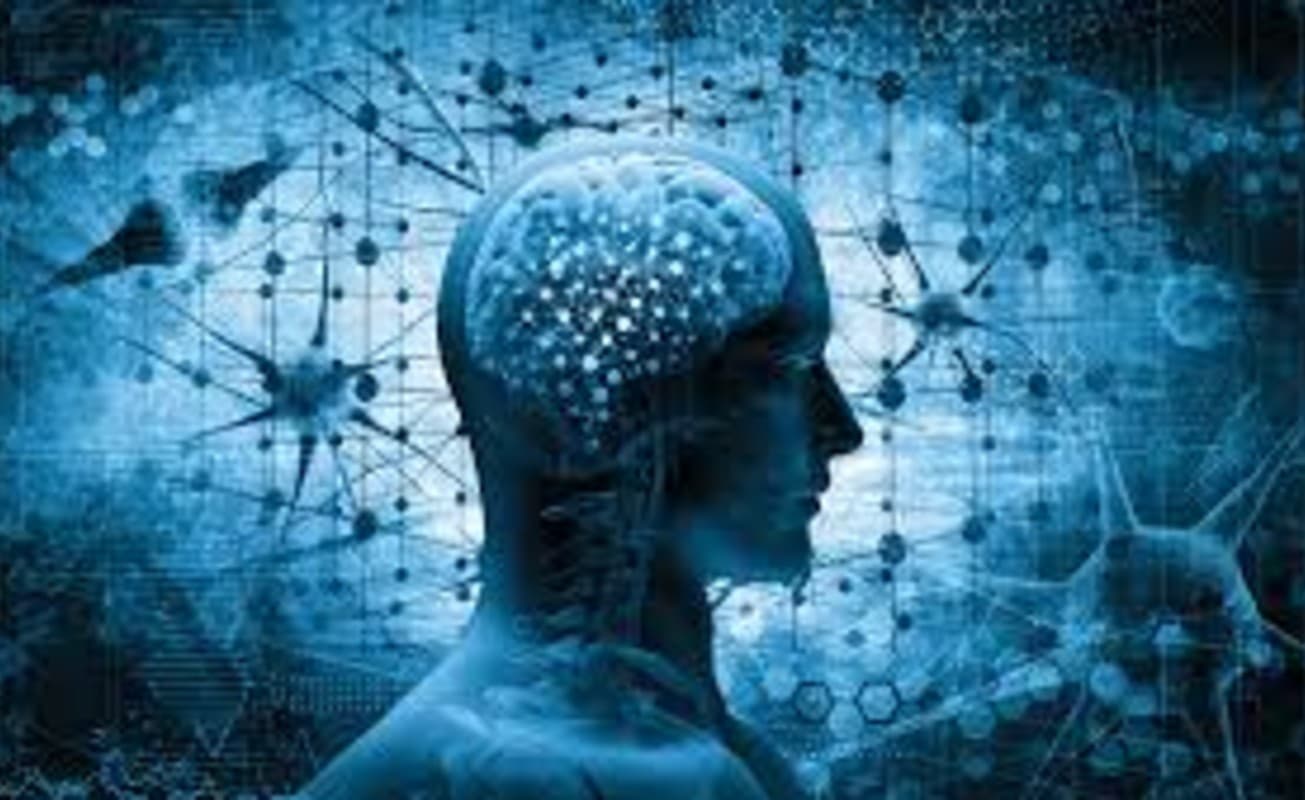 Type Of Magnesium: मांसपेशियों और ब्रेन सिस्टम को फिट रखने में फायदेमंद है मैग्नीशियम