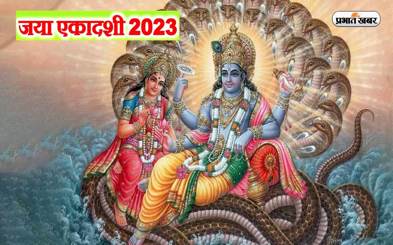 Jaya Ekadashi 2023: आज है जया एकादशी, जरूर रखें इन बातों का ध्यान, मिलेगा शुभफल