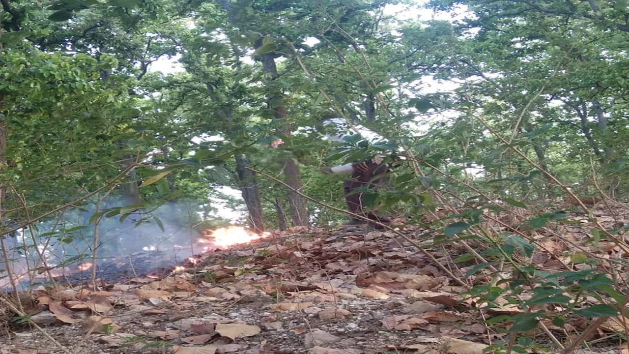 गुमला के झरगांव जंगल में लगी आग, हजारों पौधे जलकर हुए बर्बाद, 5 घंटे बाद पाया गया काबू