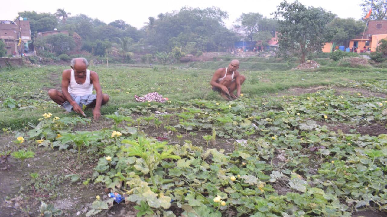 कोरोना ने तोड़ी झरिया के किसानों की कमर, बाजार में हो गयी खरीदारों की कमी