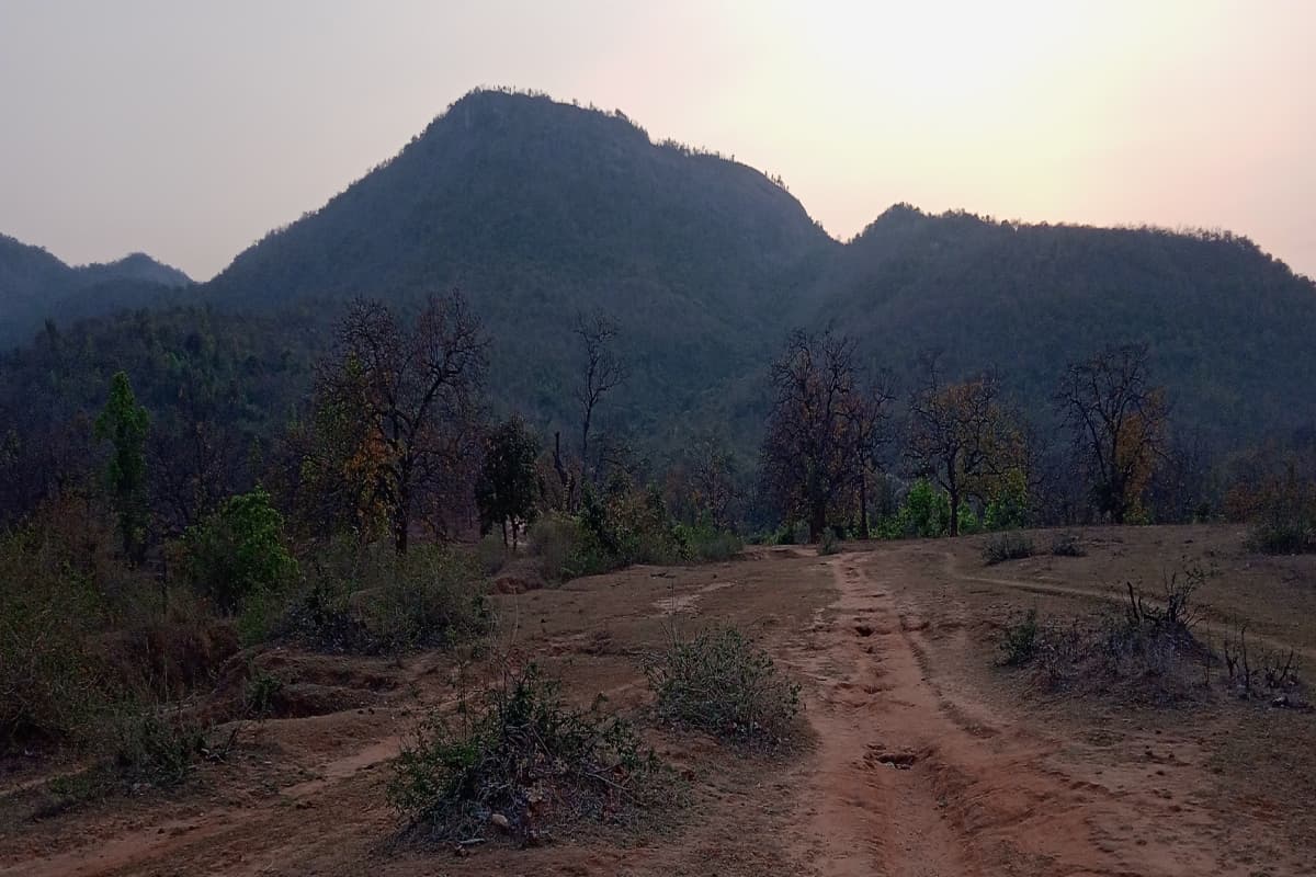 झारखंड का दूसरा सर्वोच्च शिखर लुगु पहाड़ का अस्तित्व बचाने आया था होसिर इस्टेट, जानें इतिहास