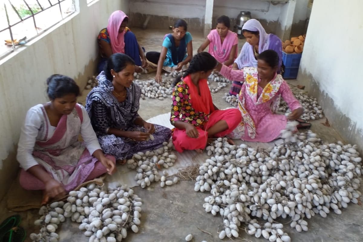 झारखंड : चीन समेत कई देशों में खरसावां से जाते थे सिल्क के कपड़े, अब बदहाल हैं किसान व बुनकर