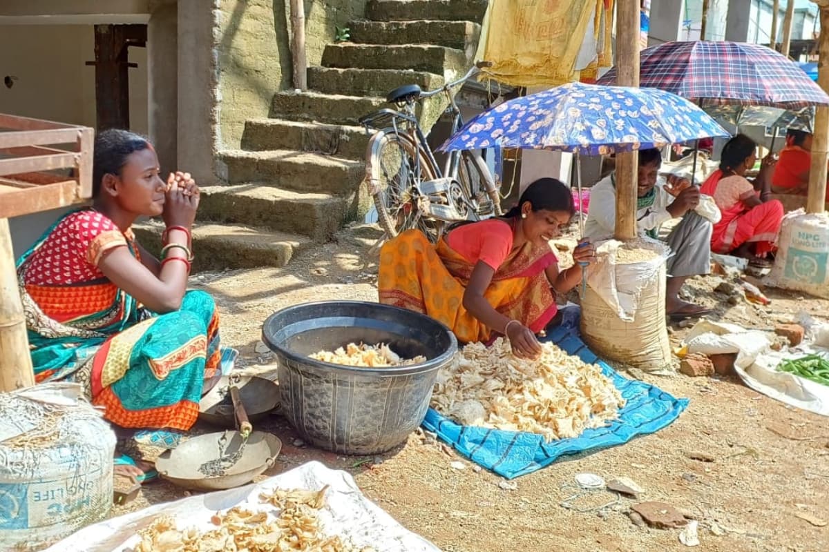 झारखंड : बांस खुखड़ी यहां के लोगों लिए है रोजगार का जरिया, जोखिम के बीच जंगलों से लाती हैं महिलाएं