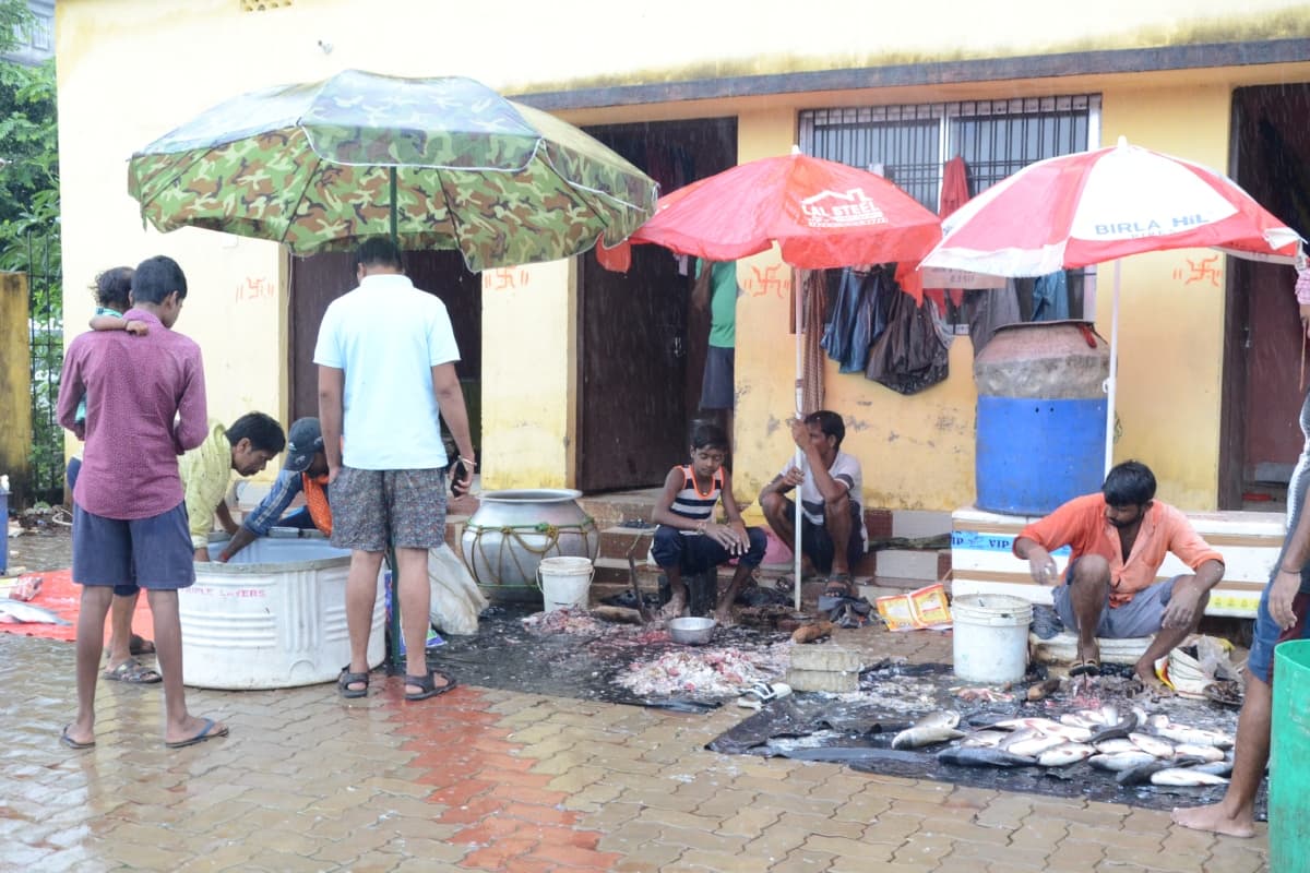 देवघर : जितिया संजत में 3 करोड़ के मछली का कारोबार, आज निर्जला उपवास, पारण कल