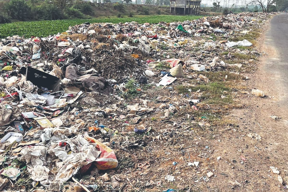 साहिबगंज : मात्र 64 कर्मचारियों के जिम्मे बरहररवा की साफ-सफाई, लाखों खर्च करने के बावजूद आती है दुर्गंध