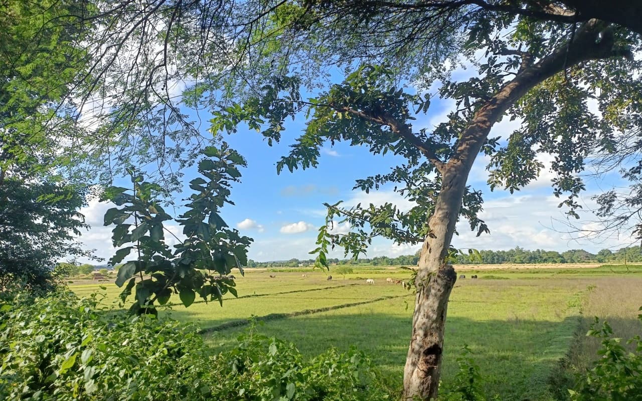 मानसून की विदाई से पहले क्या झारखंड में होगी झमाझम बारिश, दुर्गा पूजा से पहले कैसा रहेगा मौसम का मिजाज?