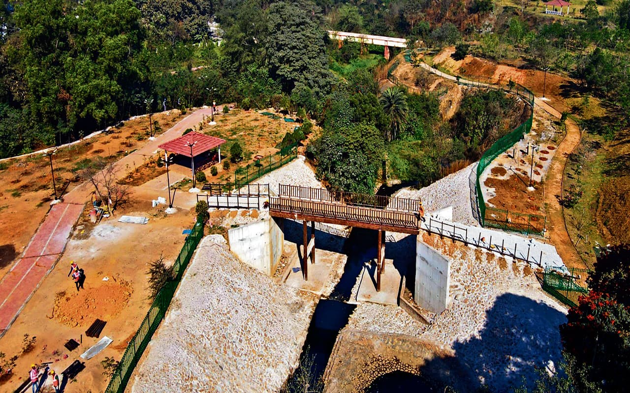 टाटा संस्थापक दिवस : शहर में जंगल का लेना है मजा तो जमशेदपुर आइये, 'जंगल ट्रेल' तैयार, जानें इसकी खूबियां