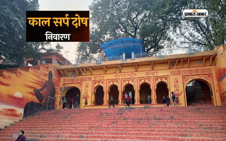 Kaal Sarp Dosh Nivaran: वासुकी नाग मंदिर में की जाती है नागों के राजा की पूजा,दर्शन से दूर होता है कालसर्प दोष