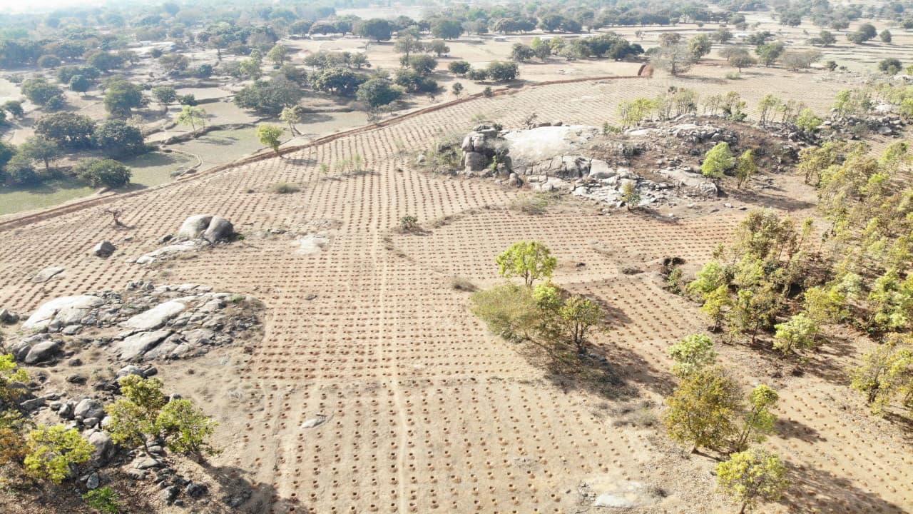 गुमला के कानारोवा गांव में बेकार पड़े सवा सौ एकड़ भूमि पर लगेंगे करीब 90 हजार पौधें, बिखरेगी हरियाली