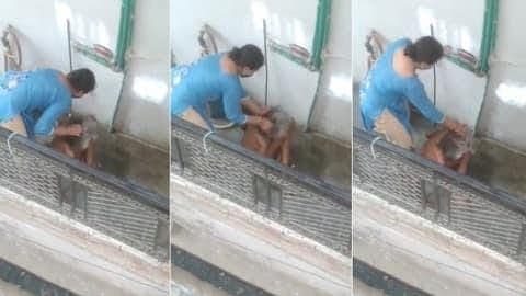 Kanpur News: बहू ने 105 साल की बुजुर्ग सास को बेरहमी से पीटा, पिटाई का वीडियो वायरल