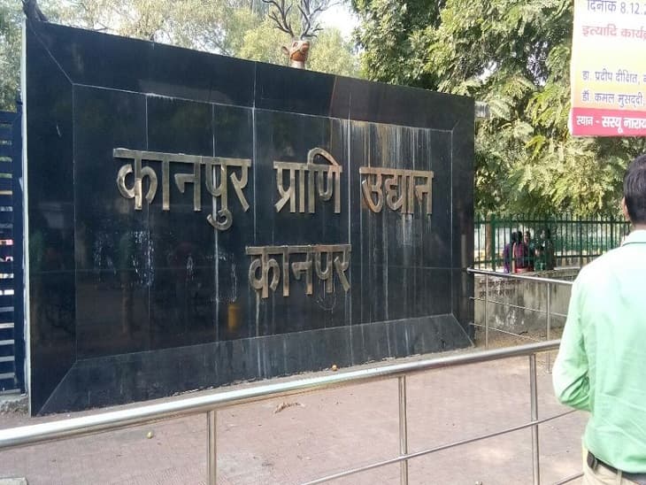 Kanpur Zoo में बढ़ती गर्मी में राहत देने के लिए जानवरों के लिए लगाया गया कूलर और फव्वारा