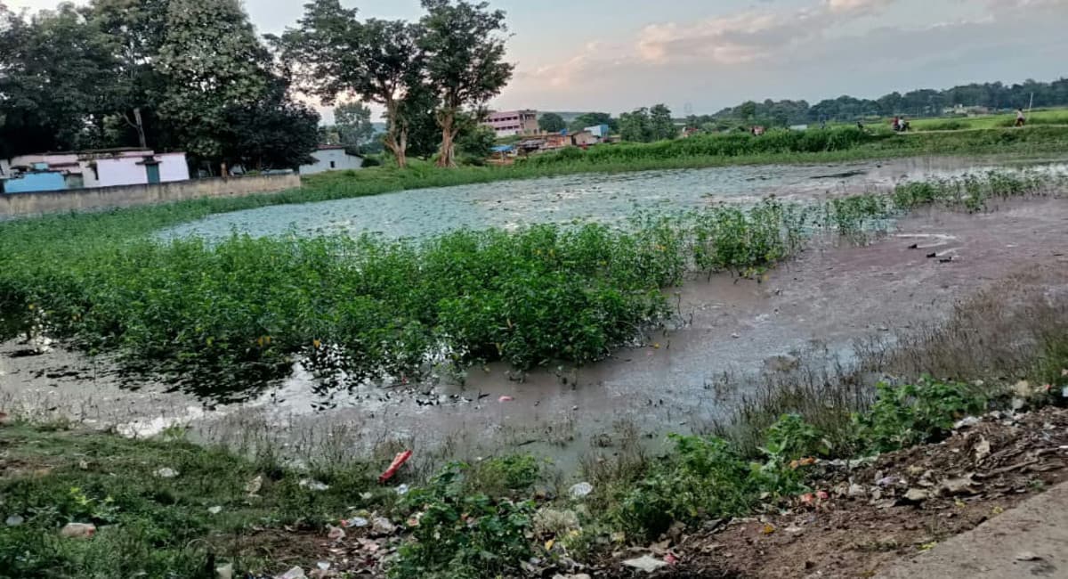 Jharkhand News: दादा धो रहे थे बाइक, तालाब में डूबने से 8 साल के पोते की मौत, पानी में डूबने से दो और की गयी जान
