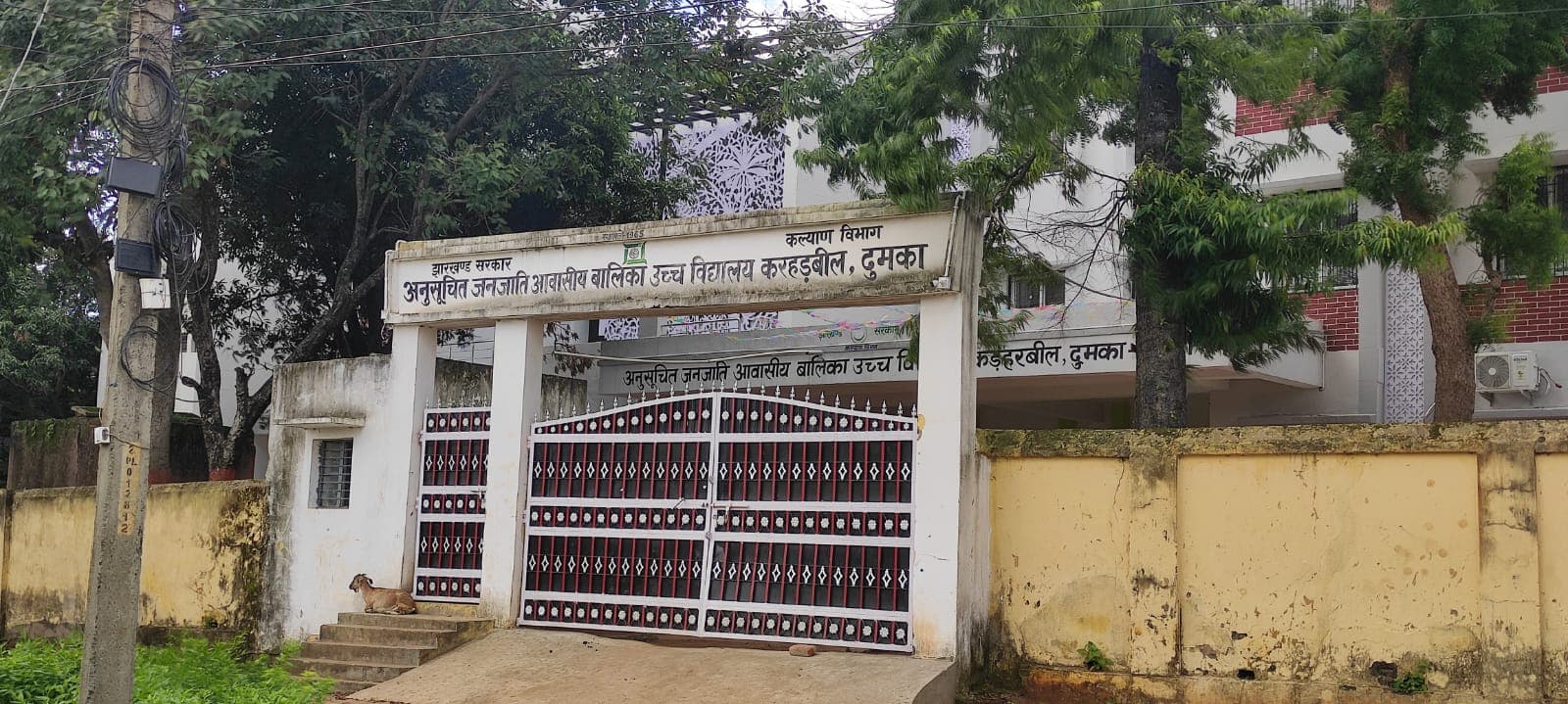 दुमका : पहाड़िया व संताल बच्चों के लिए संचालित आवासीय विद्यालयों का हाल, 50% से अधिक शिक्षकों के पद खाली