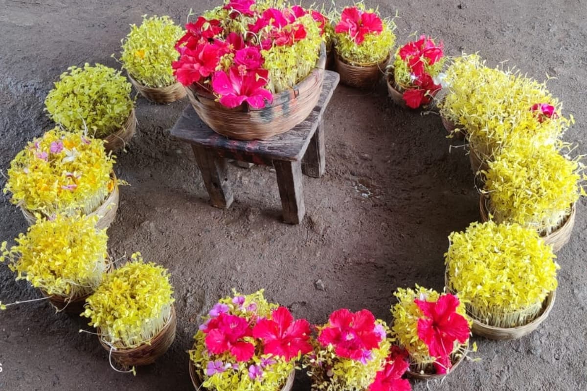 करमा पूजा में जावा उठाने की परंपरा बेहद खास, लोकगीत की गूंज के साथ 7 दिनों तक धूमधाम से मनेगा प्रकृति पर्व