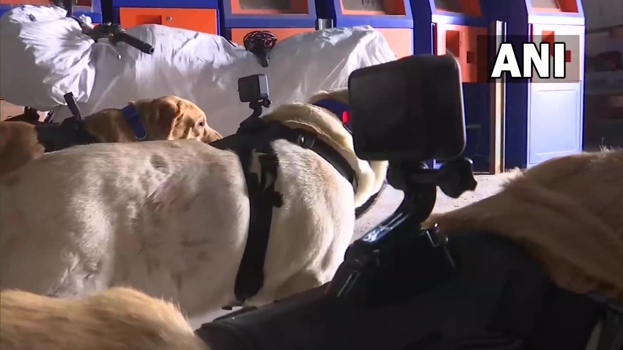 Karnataka: GoPro कैमरे की मदद से अब स्निफर डॉग करेंगे आरपीएफ की मदद, रियल टाइम मिलेगा फुटेज