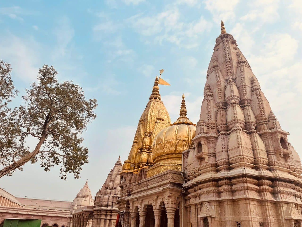 Kashi Vishwanath Corridor: कई बार तोड़ा जा चुका है काशी विश्वनाथ का मंदिर, करीब 352 साल के बाद अब हुआ ‘उद्धार’ Kashi Vishwanath Corridor: कई बार तोड़ा जा चुका है काशी विश्वनाथ का मंदिर, करीब 352 साल के बाद अब हुआ ‘उद्धार’
