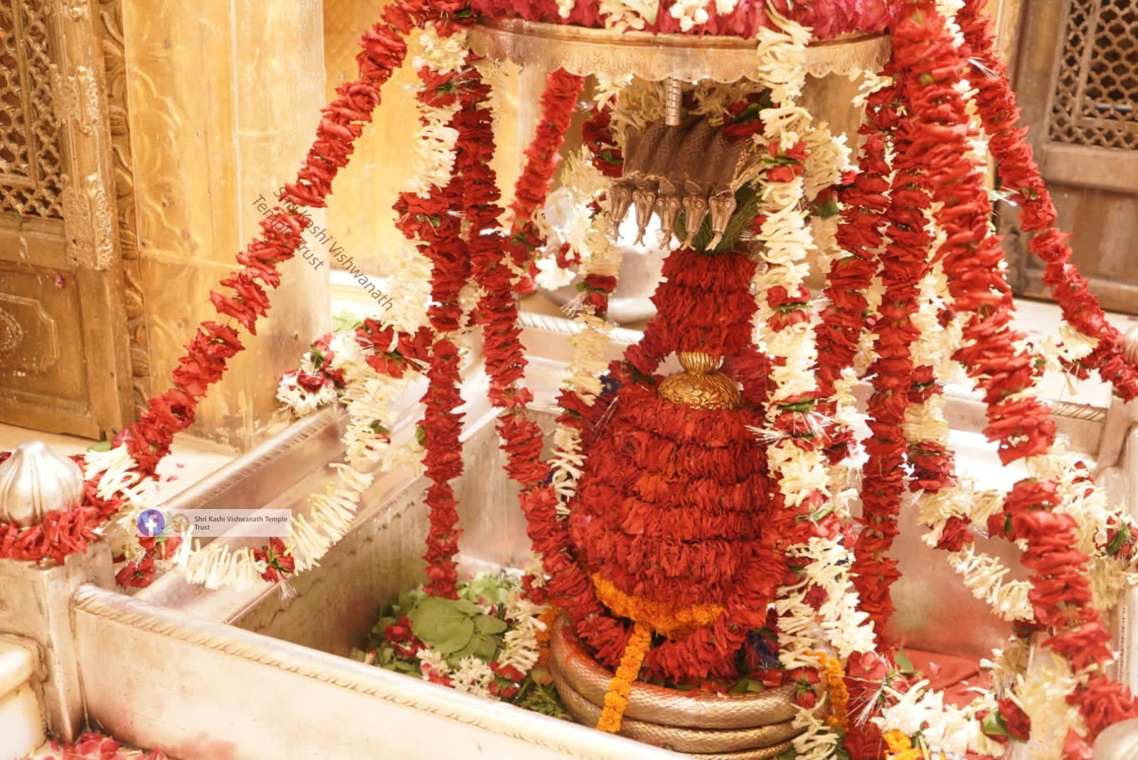 Sawan: काशी विश्वनाथ का लाखों श्रद्धालुओं ने किया जलाभिषेक, यहां हुई हेलीकॉप्टर से कांवरियों पर पुष्पवर्षा