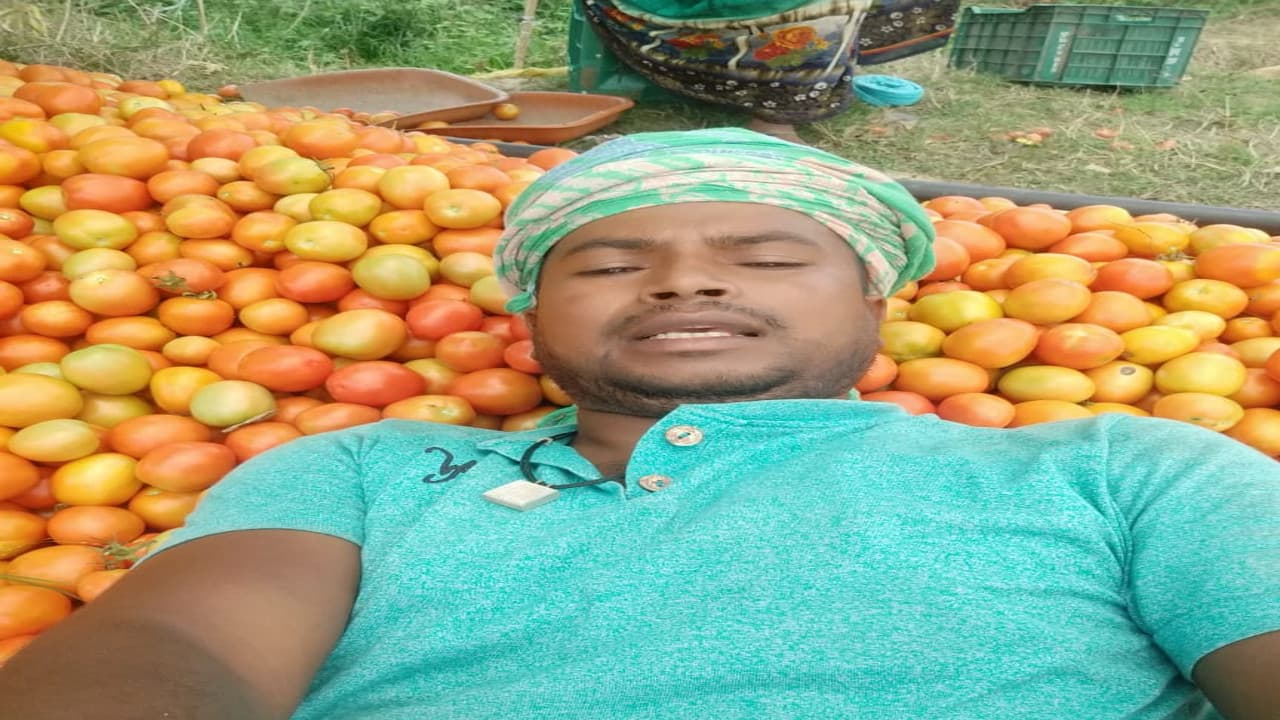 हजारीबाग के कटकमदाग में किसान मिनी लॉकडाउन से हैं परेशान, खरीदार नहीं मिलने से सब्जियां हो रही बेकार