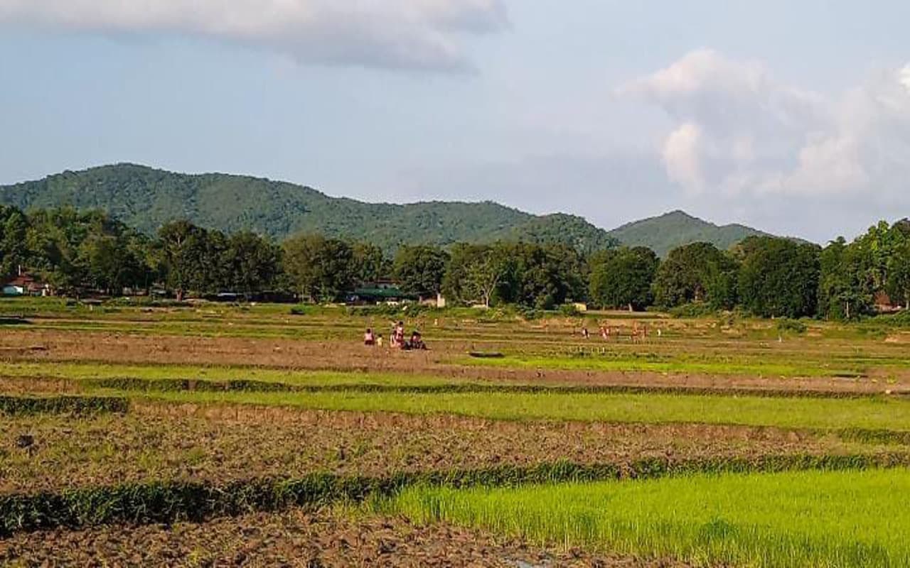 झारखंड : हे ईश्वर अब तो बरस, गुमला के किसान भगवान से हर दिन कर रहे प्रार्थना, गांव में हो रही पूजा-पाठ